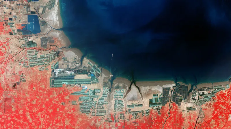 Akvakulturní zařízení v Pochajském zálivu roku 2000