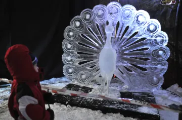 Rožnov se plní ledem. Za pár hodin z něj sochaři vytesají království