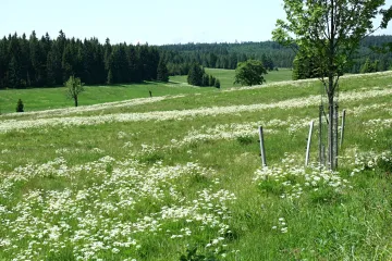 Petici proti stavbě chat v Krušných horách podepsaly více než dva tisíce lidí