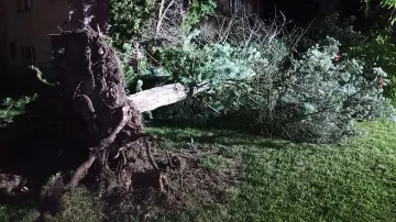 Následky bouřek na Zlínsku
