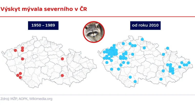 Výskyt mývala severního v ČR