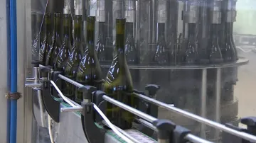 Bzenecké vinařství má letos v soutěži osm bílých vín