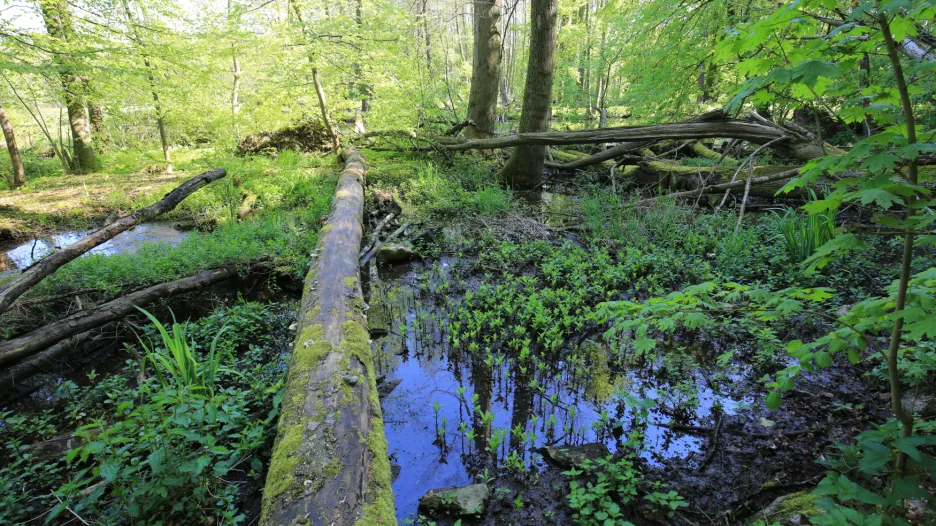Litovelské Pomoraví