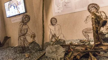 Z výstavy Vítejte u neandertálců v Pavilonu Anthropos Moravského zemského muzea v Brně