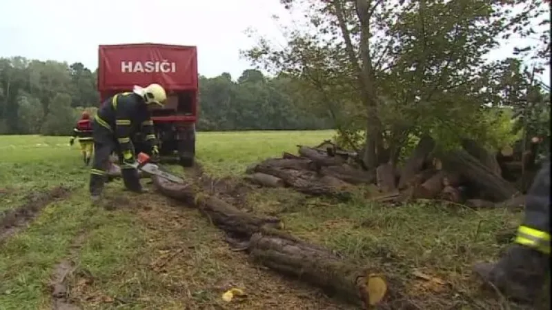 NO COMMENT: Hasiči čistí nestabilní svah v Bulharech od dřevin