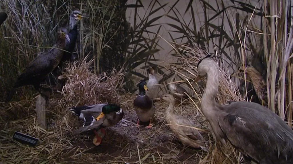 Část expozice rokycanského muzea