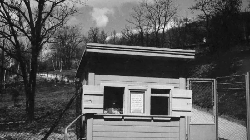 Zoo na počátku chovala většinou jen domácí druhy zvířat