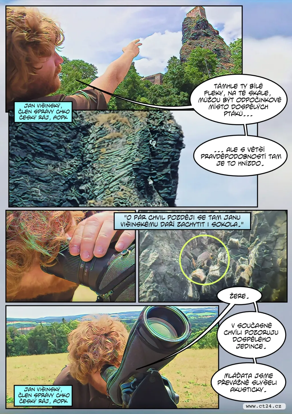 Sokoli vyvedli na hradě Trosky své mladé