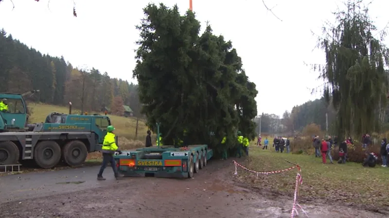 Smrk se vydal na cestu do Prahy