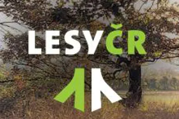 Lesy ČR podaly další žalobu na CE Wood