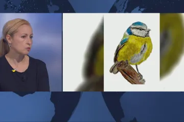 Obrázek za dar pro Ukrajinu. Malířka Benešová vybrala díky své „ptačí armádě“ první milion