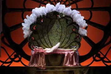 „Ostříhání“ Šípkové Růžence prospělo