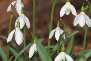 Meteorolog Karas: Po nadprůměrné zimě budou teploty vyšší, než je obvyklé, i na začátku jara