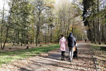 Letošní podzim byl jeden z nejteplejších za 248 let. Průměrné teploty dosahovaly 11,5 stupně