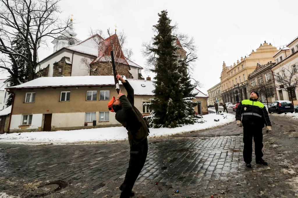 Série snímků „Kontroverzní lov holubů“ od fotografa Dana Materny