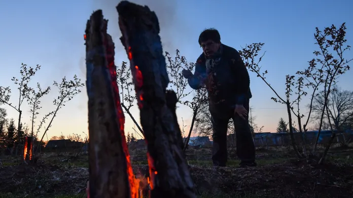 Na farmě v německém Hohenwalde rozpalují farmáři ohně v poli borůvkových keřů, aby ochránili listy a květy borůvek před umrznutím při teplotách –3 °C