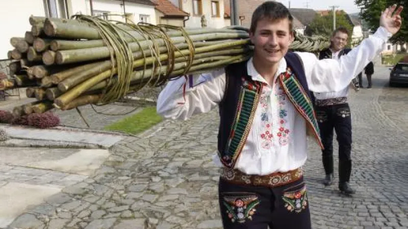 Tradiční velikonoční koledu absolvovali šohaji z Němčiček na Břeclavsku. Letos k ní použili i rekordní pomlázku (\"žilu\") dlouhou 10,4 metru a upletenou z 32 prutů.