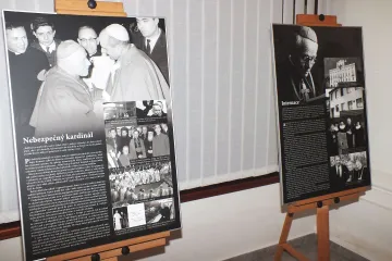 Výstava v Boskovicích - Milovat dobro a odporovat zlu