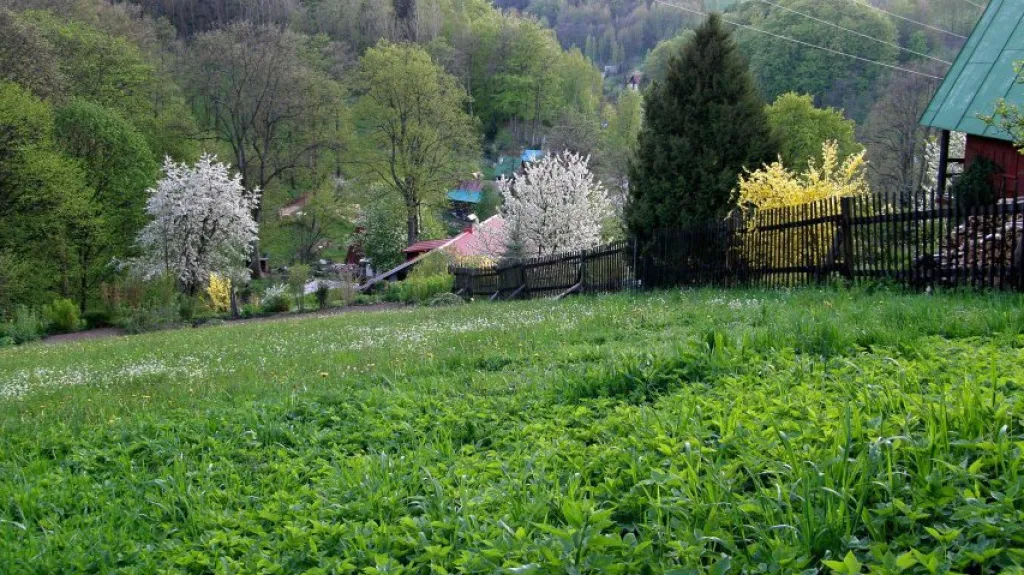 1. místo - louka v Dolním Maršově