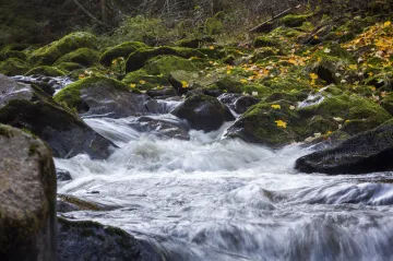Hladiny Vydry a Otavy na Šumavě klesly. V neděli vystoupaly na druhý povodňový stupeň