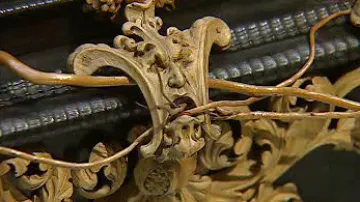 Strom života - detail