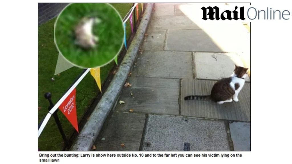 Kocour Larry ulovil první myš