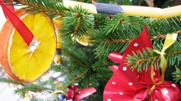 Vánoční stromeček