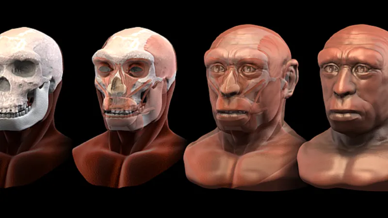 Rekonstrukce podoby člověka heidelberského