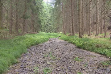 Potok v Českém Švýcarsku vyschl. Podle strážců parku vodu asi někdo „krade“