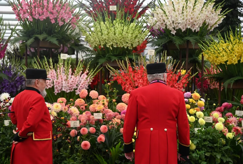 Přehlídka pěstitelů květin, floristů a aranžérů Chelsea Flower Show v Londýně nabízí milovníkům zahrad tu nejzajímavější podívanou ve Velké Británii