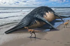 Jedenáctiletá školačka objevila zřejmě největšího ichtyosaura v dějinách, mohl mít až třicet metrů