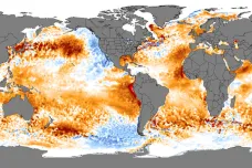 Oceány jsou nejteplejší od začátku měření. Může to zesílit hurikány a další extrémy
