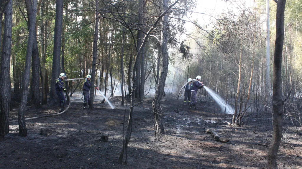Požár lesa u Manětína