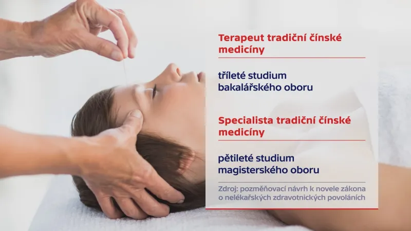 Studium tradiční čínské medicíny