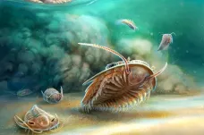 Vědci našli nejlépe zachovaného trilobita. Erupce ho pohřbila před půl miliardou roků