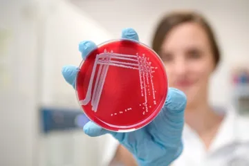 Pokus o nahrazení antibiotik zinkem přináší problémy