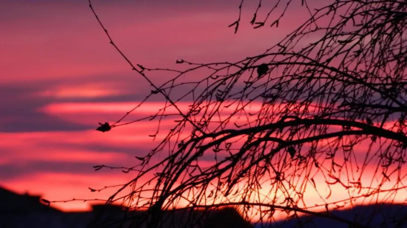 Červánky ve Frýdku-Místku