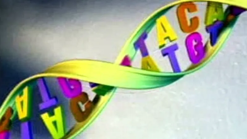 Model DNA
