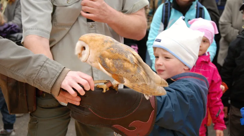 Radonické májové slavnosti