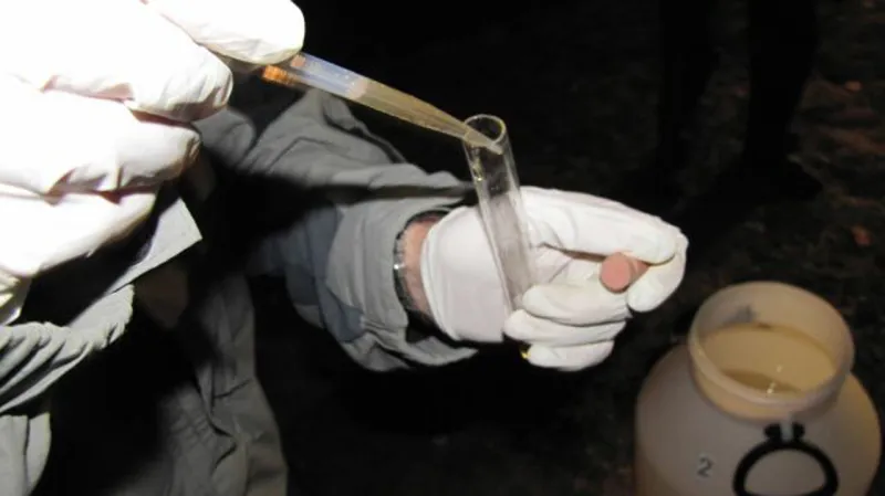 Kontrola zadrženého alkoholu