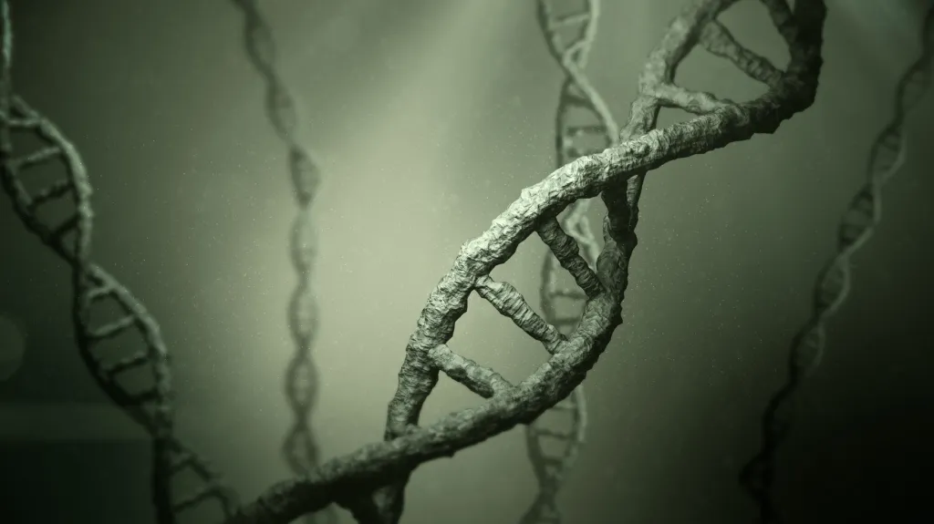 Šroubovice normální DNA