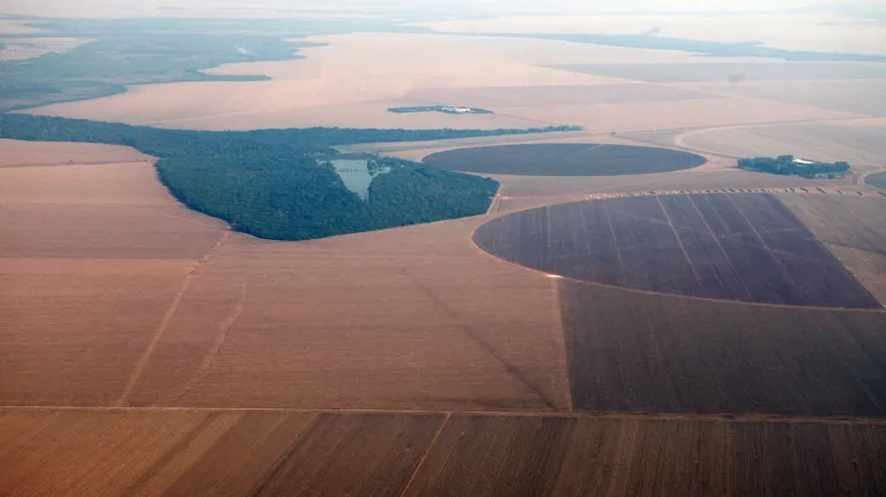Sójové plantáže v brazilském státě Mato Grosso