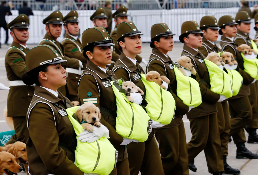 Chilské policistky pochodují v průvodu se štěňaty budoucích policejních psů během každoroční vojenské přehlídky v parku Bernardo O'Higgins v Santiagu