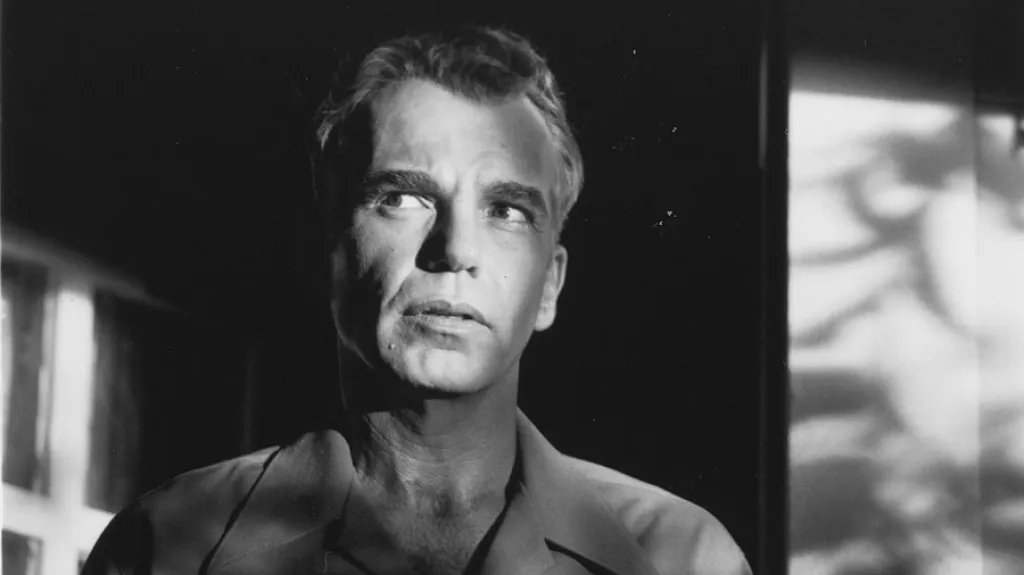 Muž, který nebyl / Billy Bob Thornton