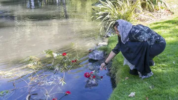 Žena pokládá květiny do řeky Avon v zahradě v Christchurchi