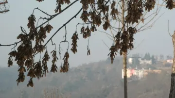 Smog vytvořil opar, který zhoršuje viditelnost