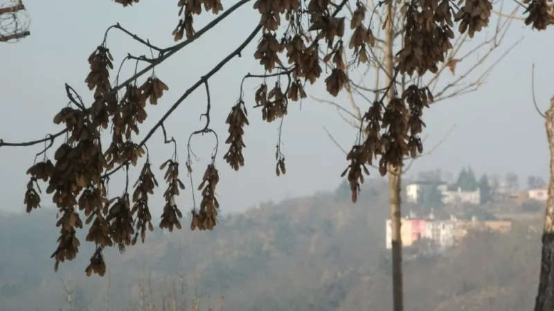 Smog vytvořil opar, který zhoršuje viditelnost