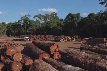 Brazílie se chce zaměřit na ochranu deštného pralesa. Zásadní obrat přichází po změně prezidenta