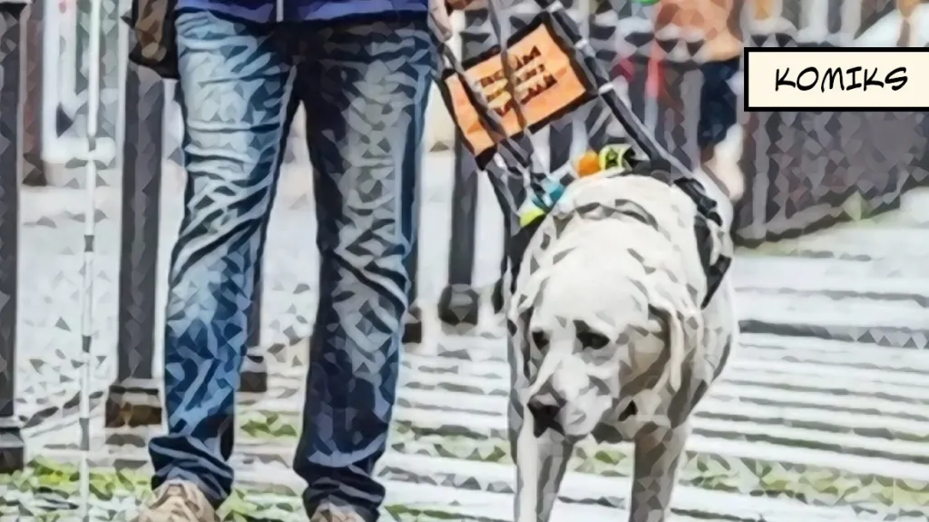 V „penzionu“ pro vysloužilé vodicí psy o ně pečuje jejich dlouholetý trenér