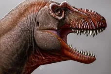 Jako sama smrt. V Kanadě objevili neznámý druh velkého tyranosaura